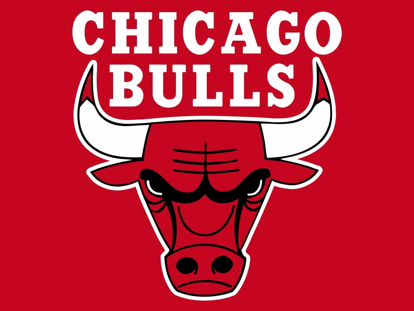 bulls