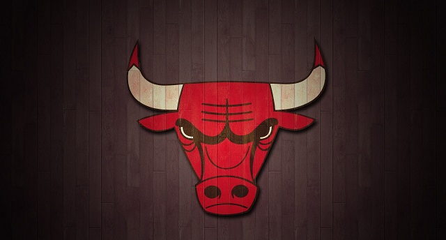 bulls-logo